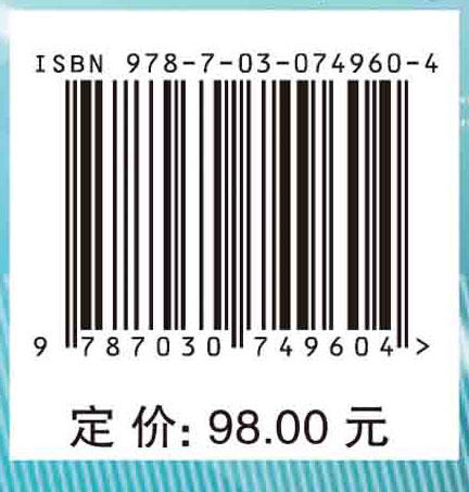 孤立子系统的可积形变及应用 商品图2