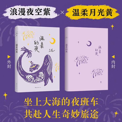 三毛：温柔的夜（《撒哈拉的故事》后，三毛温柔叙写海岛奇遇与妙想，烟火气十足的生活之书 商品图3