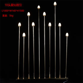 10头星灿路引（运费自理）