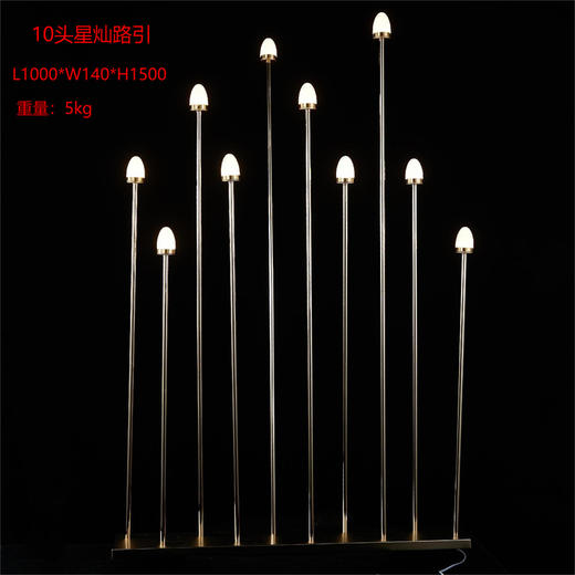 10头星灿路引（运费自理） 商品图0