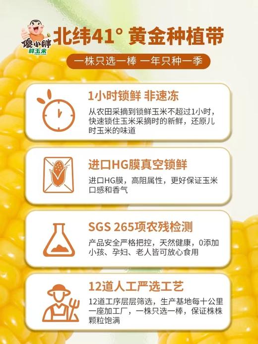 自营（山蒙海时）-傻小胖内蒙古绿色非转基因鲜糯玉米真空包装甜玉米粘苞米家庭装1.8kg 商品图2