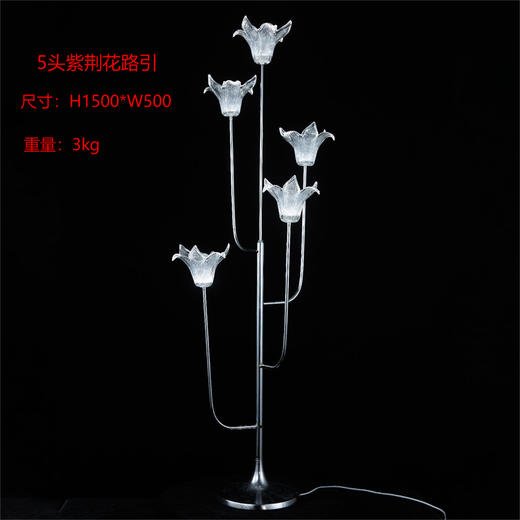 5头紫荆花路引（运费自理） 商品图0