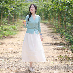 【现货】春季百搭气质A字裙半裙