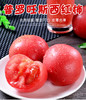 普罗旺斯西红柿 | 酸甜沙瓤原汁原味 一口爆汁 九分甜一分酸 色泽鲜艳个大饱满 富含满满营养 商品缩略图7