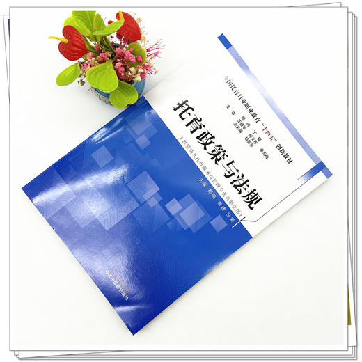 托育政策与法规 杨英豪总主编 都晓 高建 吕素 主编 中国中医药出版社 全国托育行业职业教育十四五创新教材 商品图1