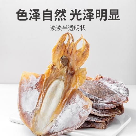 墨鱼干458g/袋装 商品图6