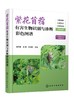 紫花苜蓿有害生物识别与诊断彩色图谱 商品缩略图0