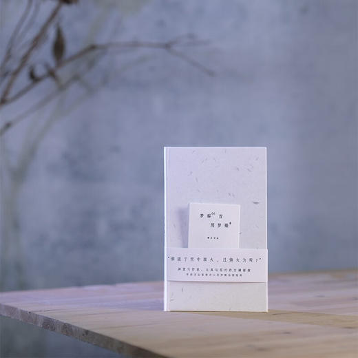 梦蝶66首 周梦蝶 著 商品图2