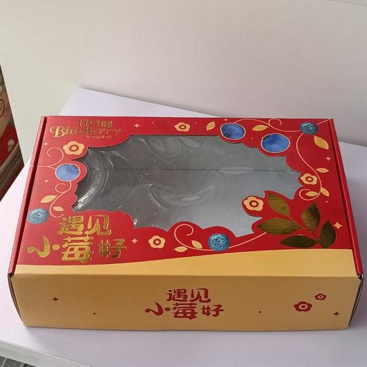 包装蓝莓礼盒 商品图0