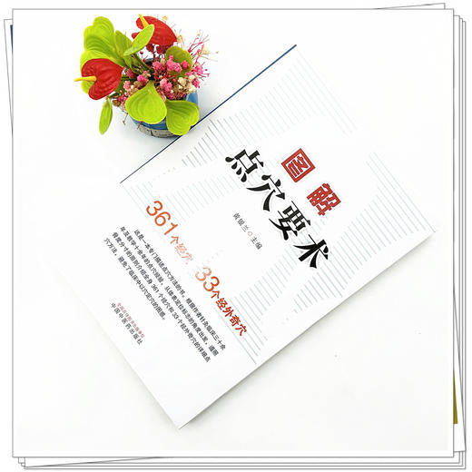 图解点穴要术 黄银兰 主编 中国中医药出版社 穴位图解 临床 书籍 商品图2