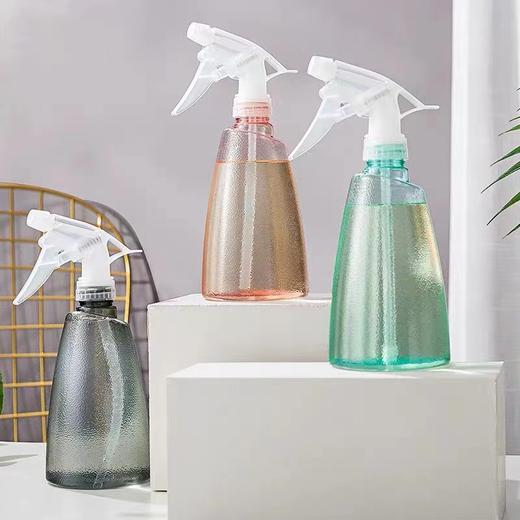 园艺手持喷水壶家用喷壶浇花小号园艺喷雾器消毒专用浇水壶气压式高压喷细雾喷瓶 商品图0