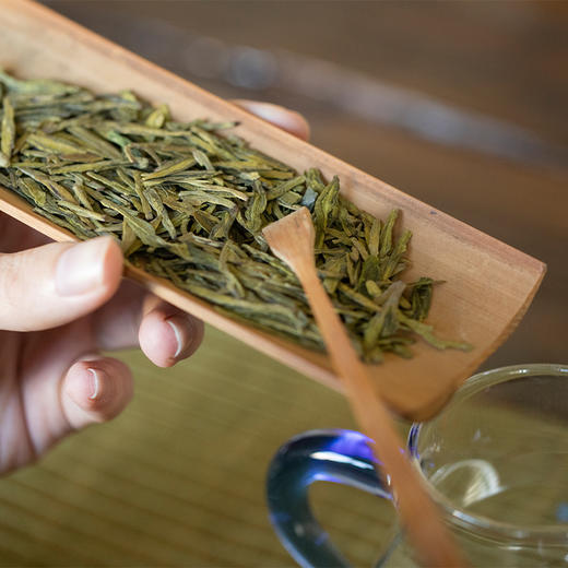 【初芽】2026年明前狮峰龙井250g 商品图2