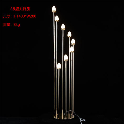 8头星灿路引（运费自理） 商品图0