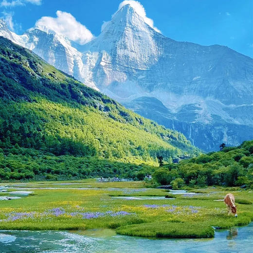 美宿 | 寻梦稻亚·四川6天5晚 商品图2