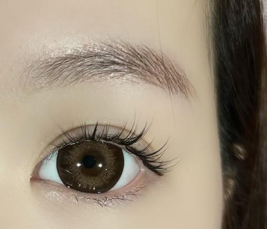 大直径年抛 agenscolor皇家菲士美瞳 直径14.5着色14.4 韩国产 商品图7