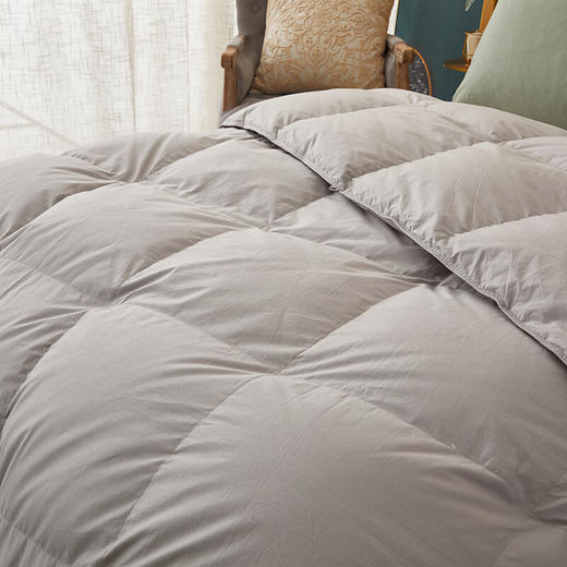 恒源祥100%白鸭绒羽绒被全棉四季被1250g  200*230cm【灰】 商品图7