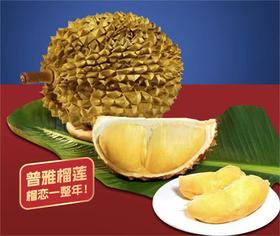 菲律宾黄金普雅 金尼尧榴莲