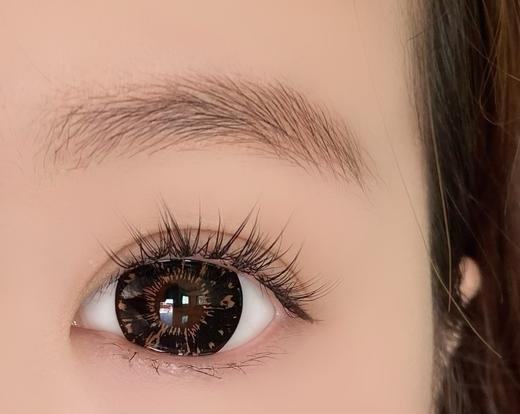 大直径年抛 agenscolor黑莓传说棕美瞳 直径14.5着色14.4 韩国产 商品图5