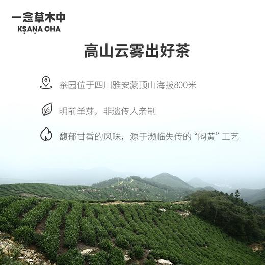 雾里萌黄·蒙顶黄芽 | 私房清饮系列 | 50g原叶 | 黄茶类 商品图3