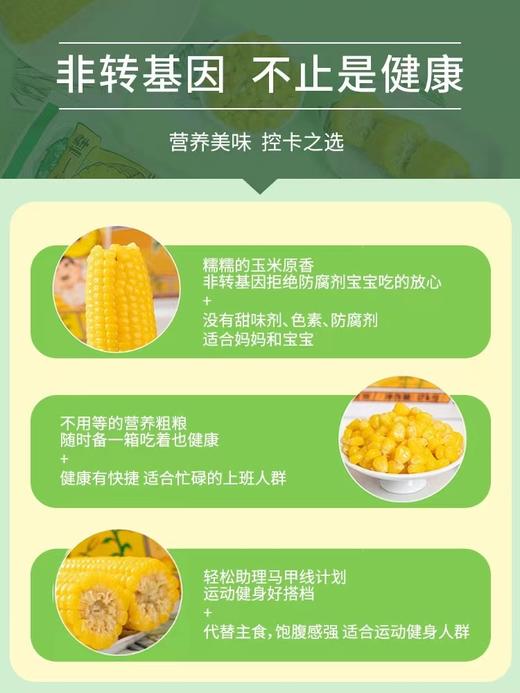 自营（山蒙海时）-傻小胖内蒙古绿色非转基因鲜糯玉米真空包装甜玉米粘苞米礼盒装2kg 商品图3