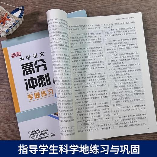 乐支点中考语文高分冲刺浙江省中考统考适用九年级初三中考复习书 商品图3