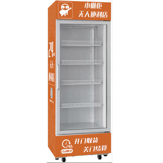 动态识别冷藏售货柜 (528L立式) 商品图0