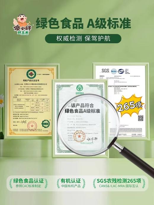 自营（山蒙海时）-傻小胖内蒙古绿色非转基因鲜糯玉米真空包装甜玉米粘苞米家庭装1.8kg 商品图1