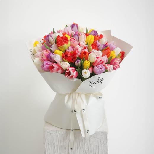 春喧娓娓 The Sound of Spring 商品图0