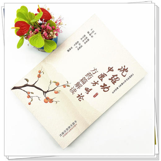 沈绍功中医方略论方药篇解读 韩学杰 张印生 罗增刚 主编 中国中医药出版社 商品图2