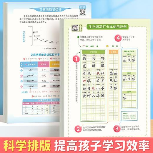 【艾宾浩斯生字听写本】拼田本小学生每日听写本作业本默写本1-6生字听写打卡本 商品图2