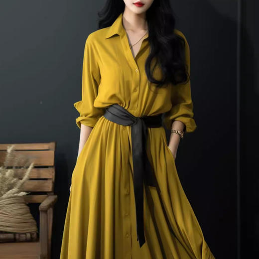 裁缝学苑AQ245长袖衬衫连衣裙纸样女装新款法式polo领收腰裙子版型 商品图1