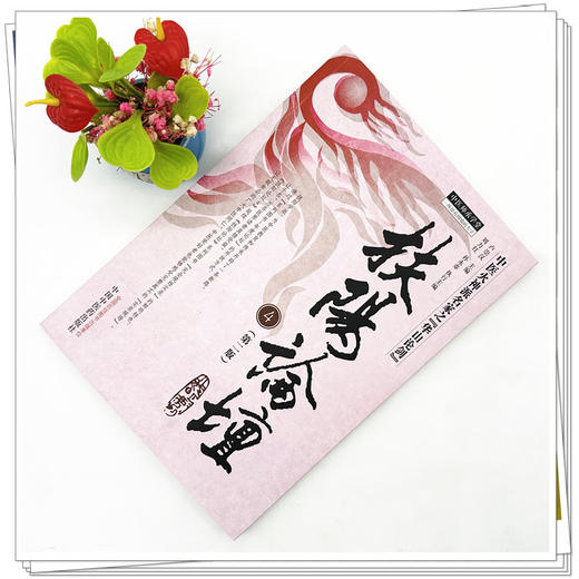 扶阳论坛 4（第二版）卢崇汉 主编 中国中医药出版社 中医师承学堂 火神派名家之华山论剑 临床 书籍 商品图2