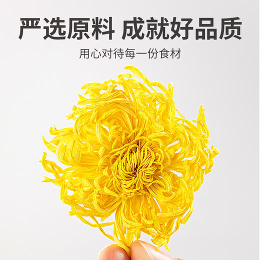 方家铺子 金丝皇菊16g/盒装 商品图11