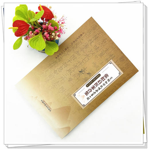 张扣启医案合集 张扣启 著 中国中医药出版社 中医临床 医案 书籍 商品图2