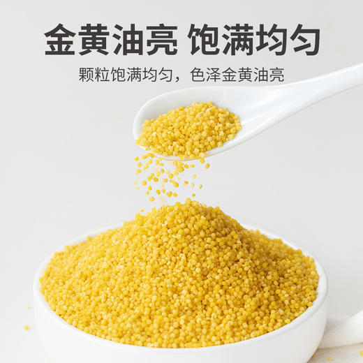 方家铺子 黄小米1kg/米砖 商品图4