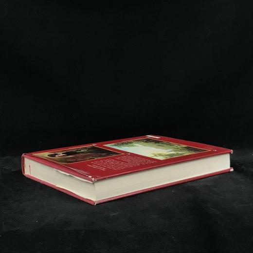 美国建筑、男人、女人与金钱，1600-1860年 约百幅插图 精装16开 商品图2