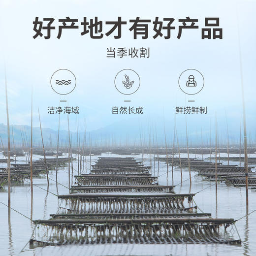 方家铺子 紫菜120g/袋装 商品图6