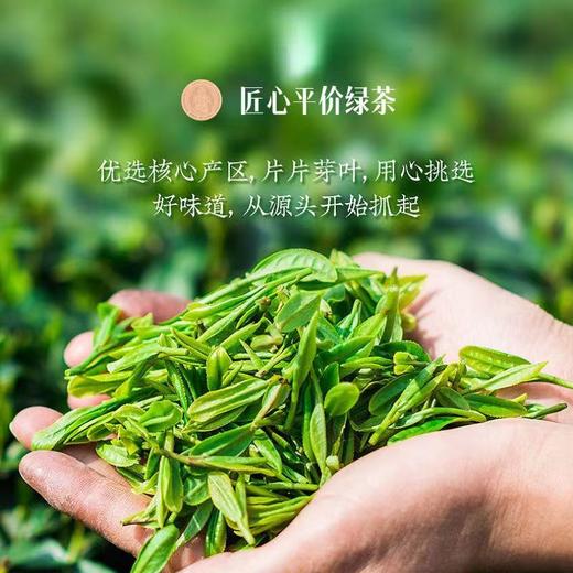 张宴志绿茶125g家庭装 商品图2