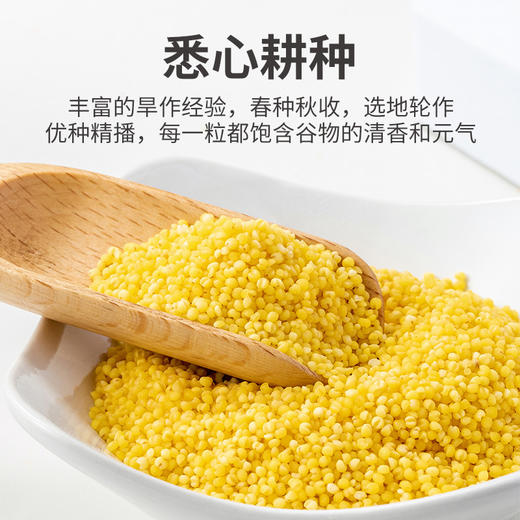 方家铺子 黄小米1kg/米砖 商品图7