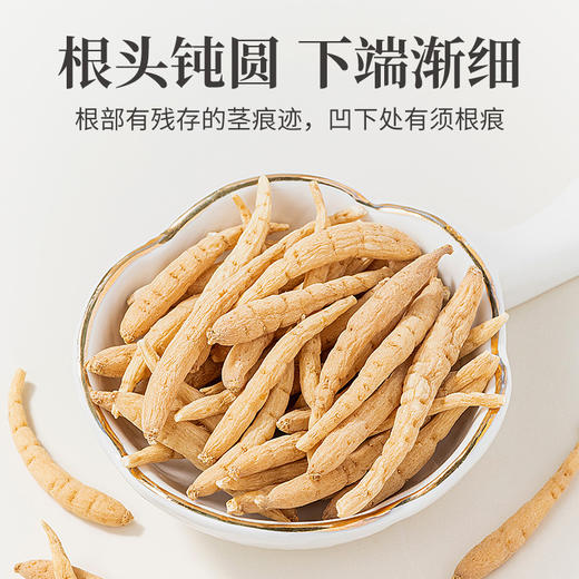 方家铺子 太子参250g/瓶装 商品图3