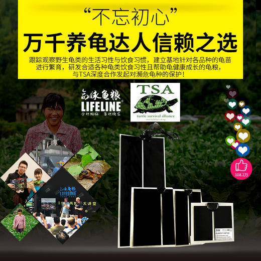 爬宠加热垫 商品图4