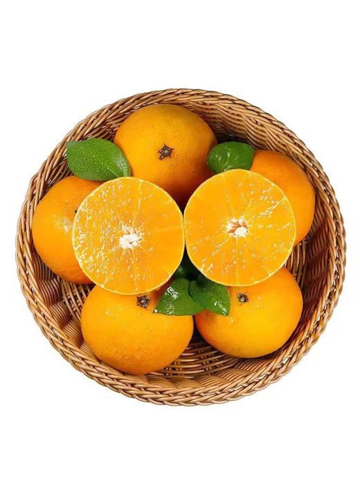 爆汁！爱媛38号果冻橙/中大果 商品图4