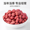 红花生1kg/米砖 商品缩略图7