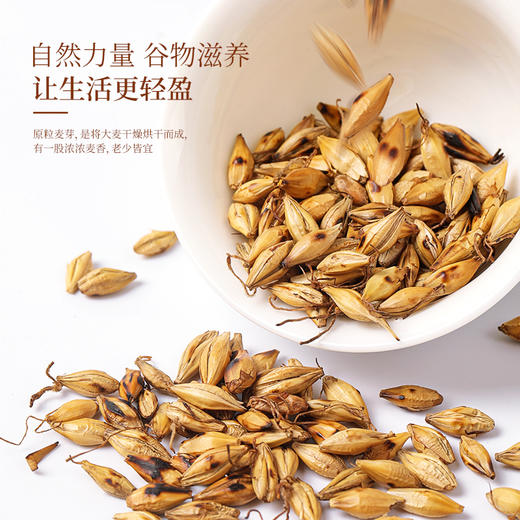 福东海 麦芽160g  谷芽麦芽回奶茶 麦芽泡水养生茶茶 商品图1