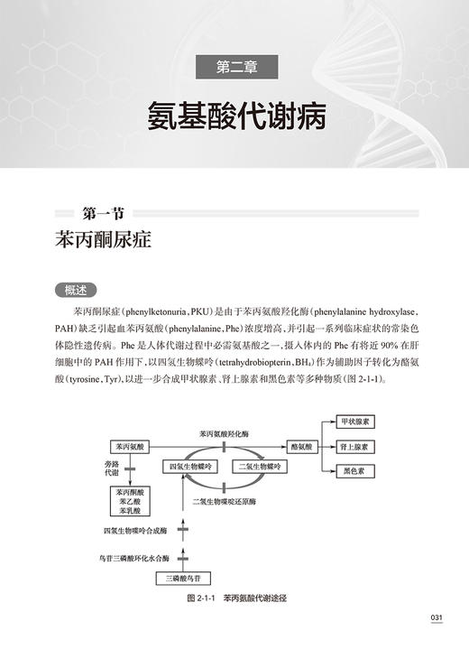 XH儿童遗传代谢性疾病 刘俐等编 常见遗传代谢病病因发病机制临床表现诊断治疗指导干预 儿科学书籍 人民卫生出版社9787117360630 商品图4