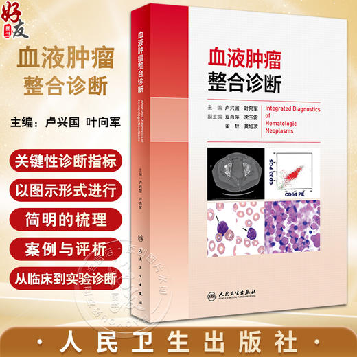 血液肿瘤整合诊断 卢兴国 叶向军 血液肿瘤实践与学术成果总结 整合诊断模式 多学科信息关键性指标  人民卫生出版社9787117354394 商品图0
