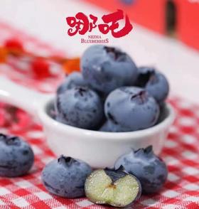 哪吒高山蓝莓100g