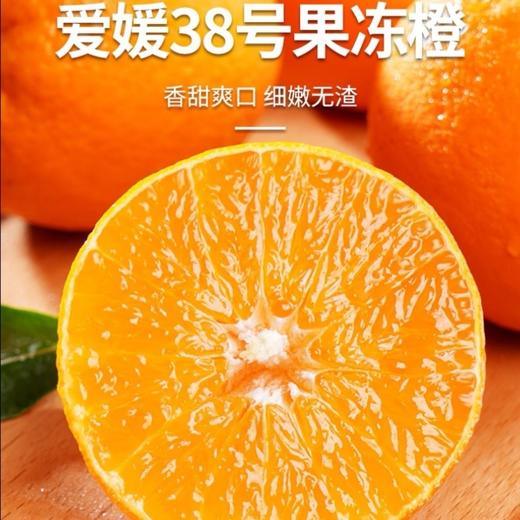 爆汁！爱媛38号果冻橙/中大果 商品图0