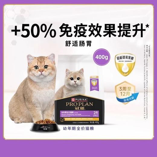 冠能猫粮幼猫怀孕哺乳期全价猫粮 牛初乳配方400g 商品图1