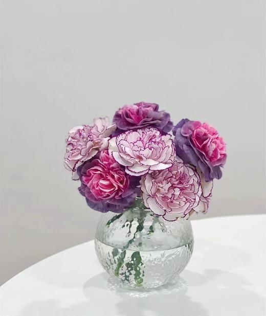 【AN】野马紫精灵康乃馨 复古高级 商品图2